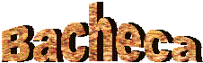 Bacheca